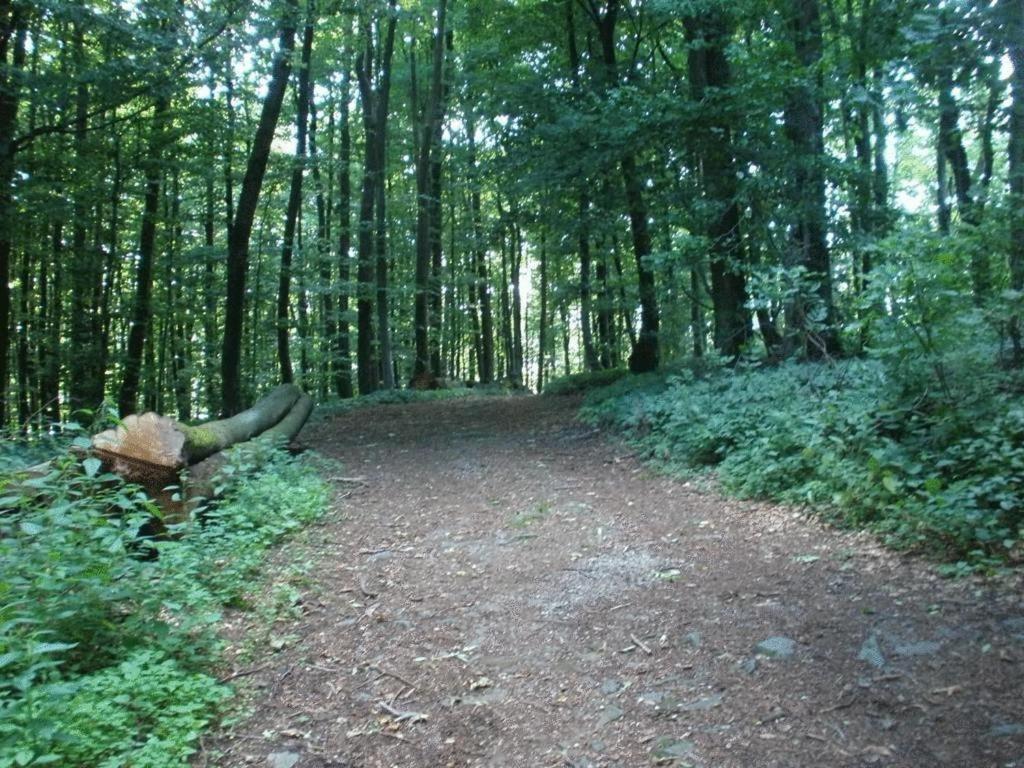 Ferienwohnung Irmgard Und Ferienwohnung Gerlinde Waldbrunn  Luaran gambar